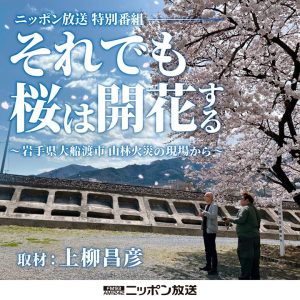 それでも桜は開花する～岩手県大船渡市 山林火災の現場から～